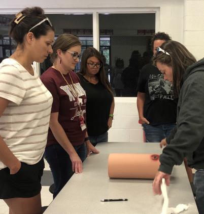 Wellington EMS provides WISD staff training