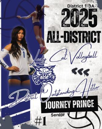 JOURNEY PRINCE, SENIOR, DISTRICT OUTSTANDING HITTER