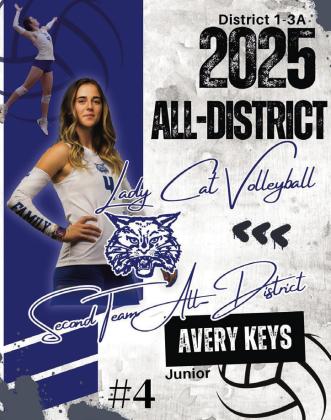 AVERY KEYS, JUNIOR, ALL-DISTRICT SECOND TEAM