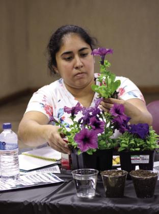 Planting Party a ‘success