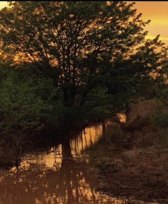 Caitlynn Heffley, Senior, Landscape/Nature, Best of Show. Heffley also placed first in the Catch All and People categories.