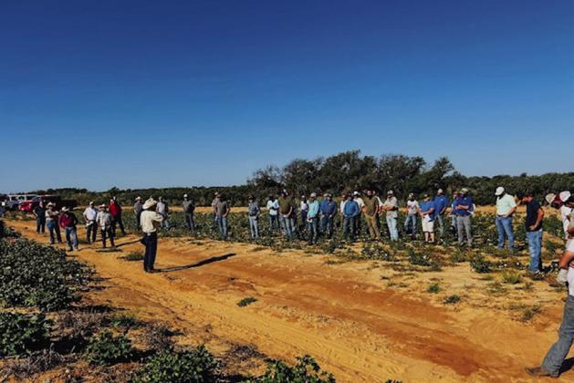 Morris, Henard Farms welcome 2024  Collingsworth Crop Tour participants