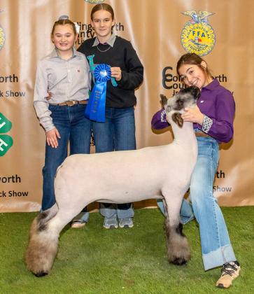 Brylnn Kemp shows the First Place Class 1 Lamb, purchased by Henard Farms at the Premium Sale.