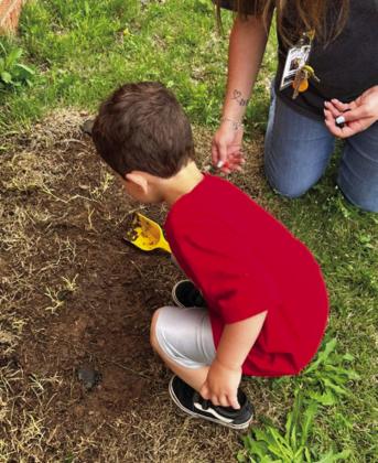 Little Cyclones learn about planting