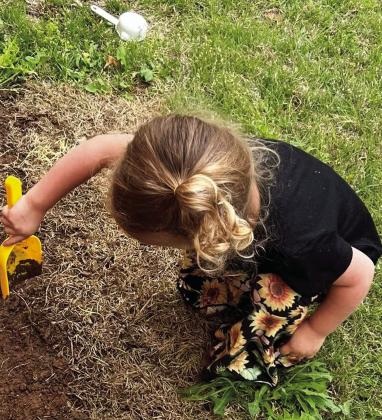 Little Cyclones learn about planting