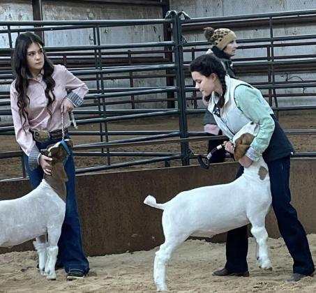 Collingsworth County Livestock Show in the books