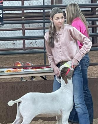 Collingsworth County Livestock Show in the books