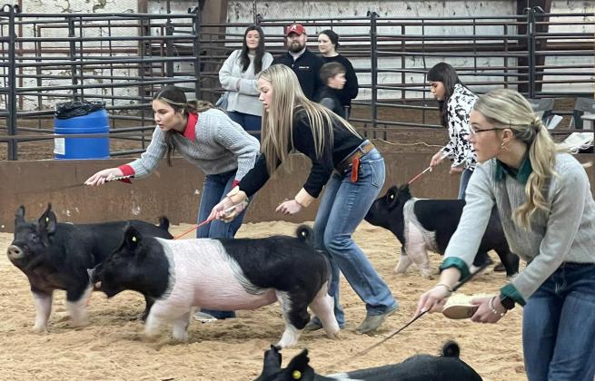 Collingsworth County Livestock Show in the books