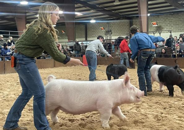 Collingsworth County Livestock Show in the books