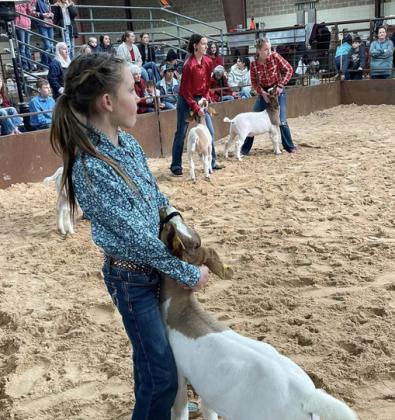 Collingsworth County Livestock Show in the books