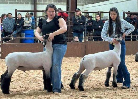 Collingsworth County Livestock Show in the books