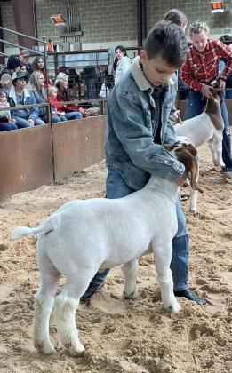 Collingsworth County Livestock Show in the books