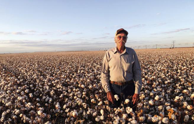 Peters harvests first Farmers Co-Op cotton bale of 2024
