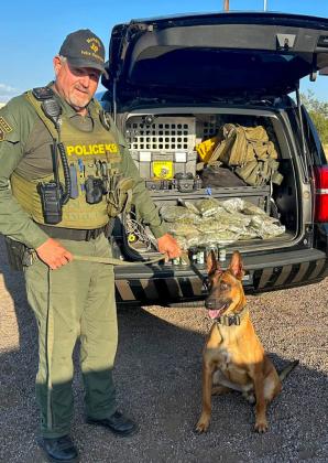 Memphis K-9 alerts on marijuana, eight pounds seized