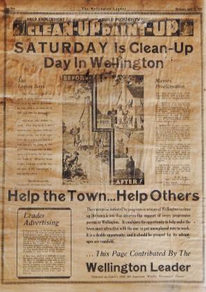 Wellington Lions Club organizes city wide clean-up