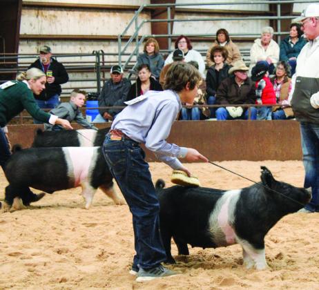 Collingsworth County 4-H and FFA youth exhibit animals