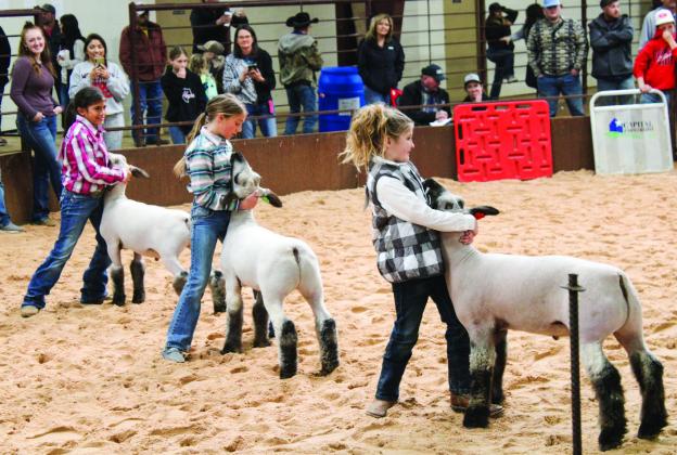 Collingsworth County 4-H and FFA youth exhibit animals