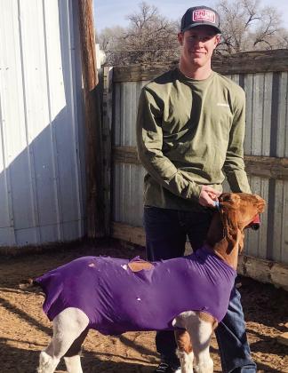 Wellington seniors experience final livestock show season