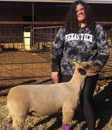 Wellington seniors experience final livestock show season