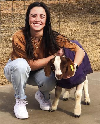 Wellington seniors experience final livestock show season