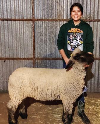 Wellington seniors experience final livestock show season
