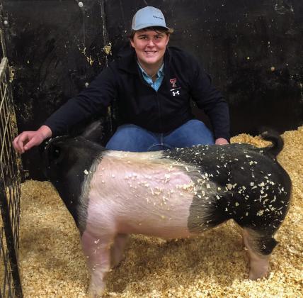 Wellington seniors experience final livestock show season