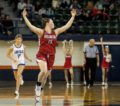 Wellington punches ticket to UIL state tournament for first time in school history