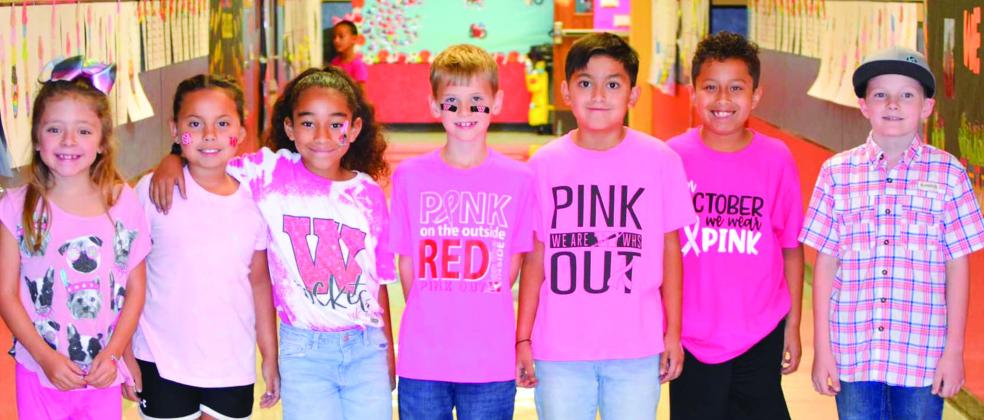 Wellington Elementary Sparklers #PinkOut
