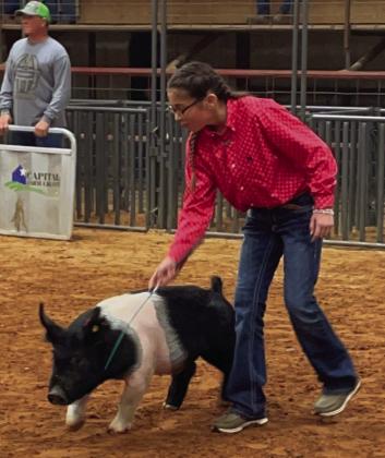 Brylnn Kemp, a Wellington Elementary School fifth grader, practices exhibiting her swine project at the recent Wheeler Jackpot Show. Kemp will compete with other local youth in the upcoming Collingsworth County Livestock Show Saturday, Jan. 14. Courtesy Photos