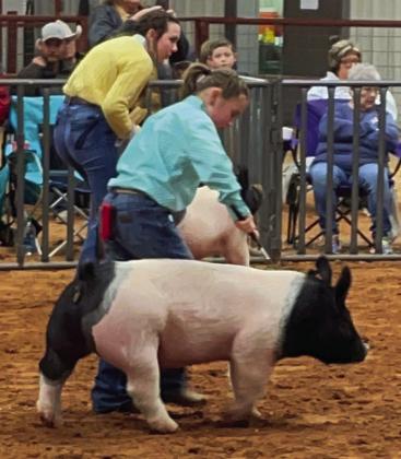 Wellington Elementary third-grader Presley Kemp competes in the swine division of the Saturday, Dec. 10 Wheeler Jackpot Show. So far, Kemp reports that showing pigs for her first year of eligibility is fun. The Collingsworth County Livestock Show opens with the swine show at 9 a.m. Saturday, Jan. 14 at the Wellington Fairgrounds.