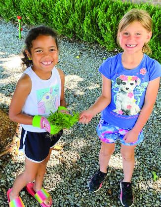 Childress Methodist Children’s Ministry plants bee-friendly flowers