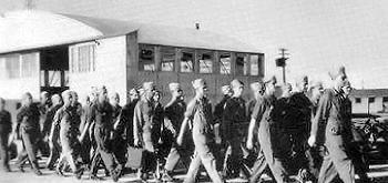 Army Air Force Soldiers