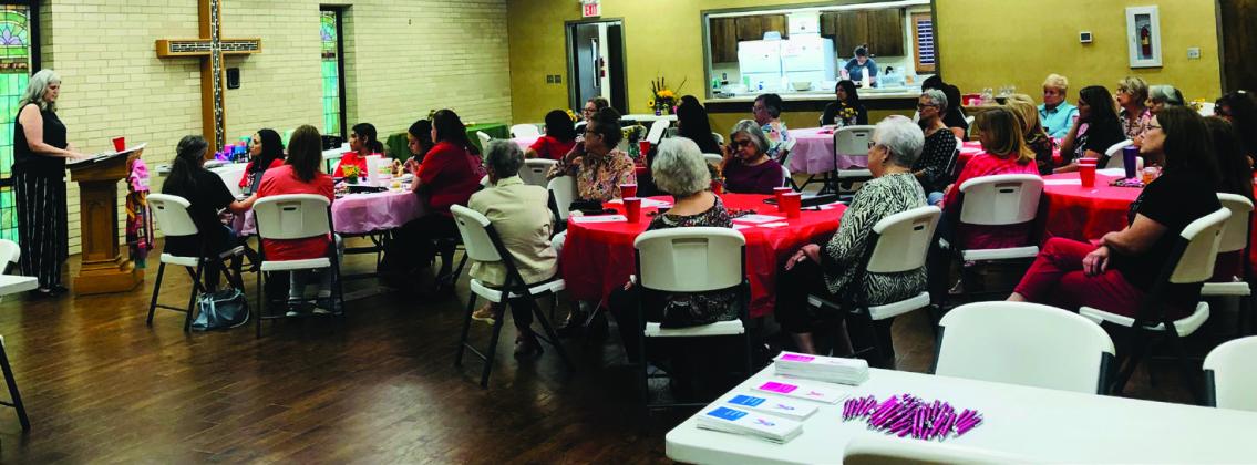 Wellington Professional Women host breast health program