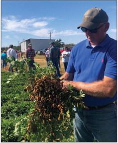 AgriLife Extension hosts 2023 Collingsworth County Crop Tour