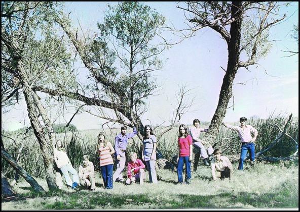 Quail High School Class of 1973 graduates gathered in a tree grove include Nancy Pendergraft, Jimmy Green, Sandra Sullivan Motsenbocker, Jerry Alston, Joel Ross, Sherri Canada Barton, Janet Patterson Brown, Gary Alston, Calvin Green, Terry Canada. Photo Provided by Collingsworth Public Library Digital Website