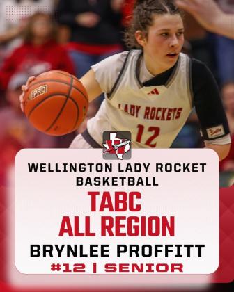 TABC names all-region Wellington players