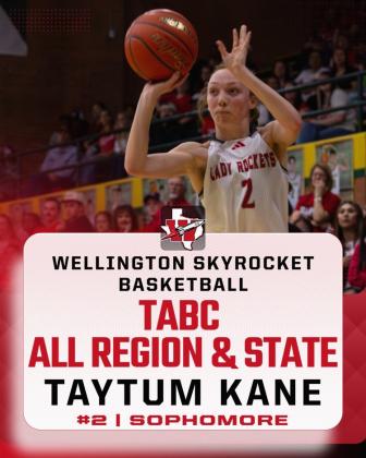 TABC names all-region Wellington players