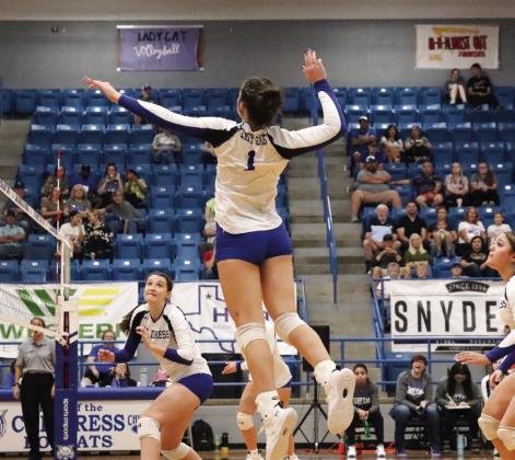 Lady Cats sweep Knox City