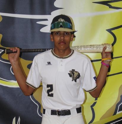 Bobcats, Cyclones selected to all-district baseball lineups
