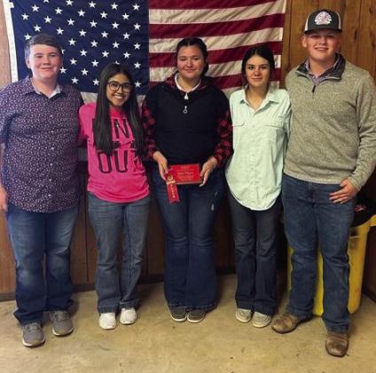 Judging teams make showing at contests