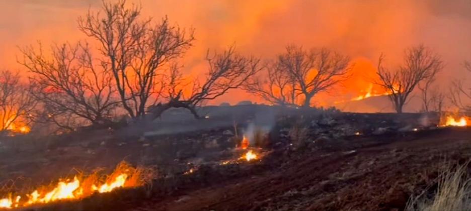 Fair Park City Auditorium, WAC, churches serve as wildfire refugee shelters