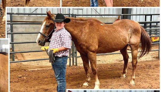 Childress County 4-H Horse Club hosts Halter Clinic