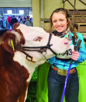 Braylee Brooks takes fourth place with her polled Hereford steer at the recent Fort Worth Stock Show and Rodeo. Courtesy Photos
