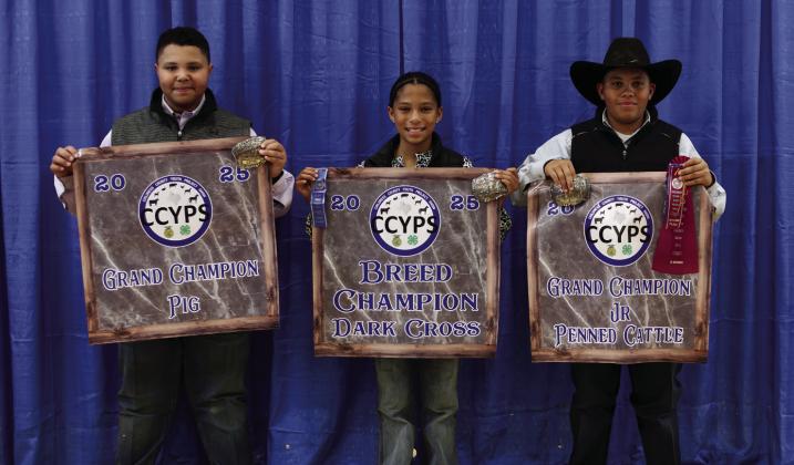 Blaze Session exhibits the Grand Champion Pig, as well as the Dark Cross Breed Champion, purchased by Kevin Huddleston, while Bryson Session exhibits the Grand Champion Junior Penned Cattle, purchased by First United Bank.