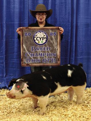 Stratton Galyean exhibits the Dark Other Pure Breed (OPB) Breed Champion, purchased by Wellington State Bank.