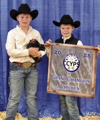 Kolt Whitaker exhibits the Grand Champion Fancy Chicken, purchased by Wellington State Bank.