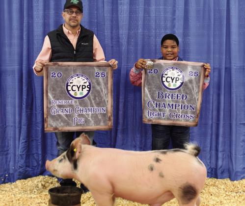 Kenyan Campbell exhibits the Reserve Grand Champion Pig, as well as the Light Cross Breed Champion, purchased by Boedeker.