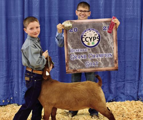 Dawson Adcock exhibits the Reserve Grand Champion Goat, purchased by South Plains Electric Cooperation.