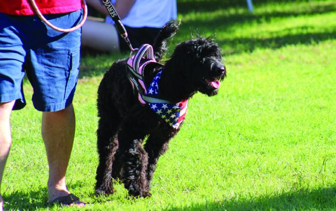 Thousands turnout for Fourth of July Party in the Park