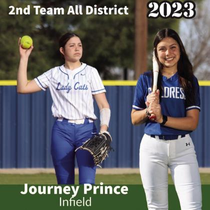 Lady Cats garner all-district honors